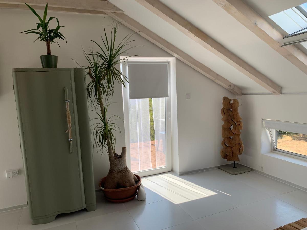 Apartment Pampas Sveti Filip i Jakov Zewnętrze zdjęcie
